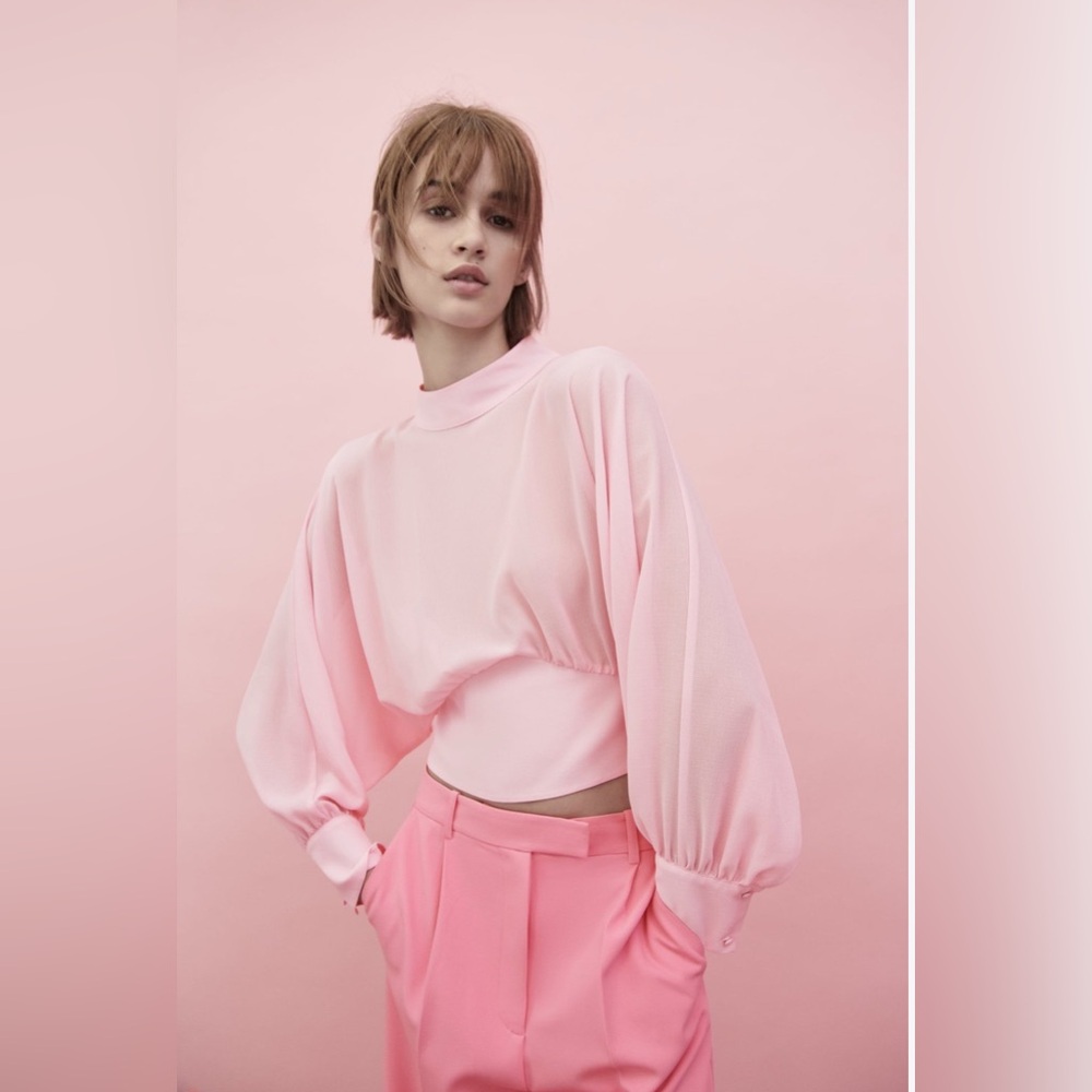 Pink sheer Zara blouse